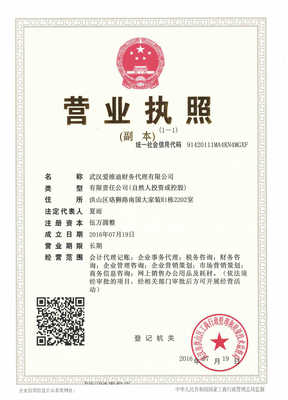 武漢愛維迪財務代理